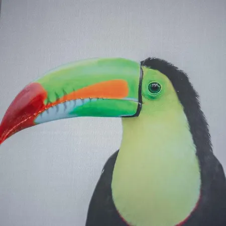 Realkasa Marconi Appartamento *