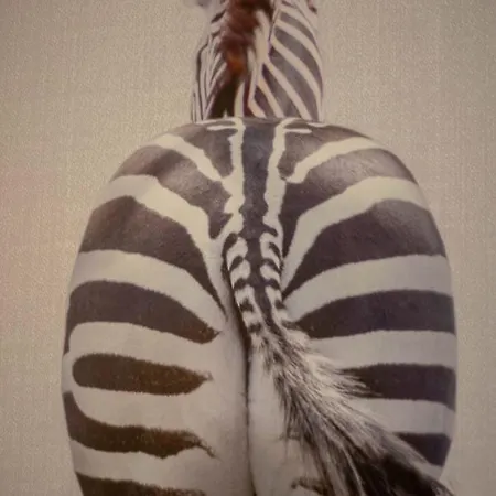 Realkasa Marconi Appartamento Bologna