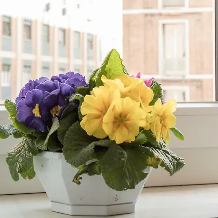 Realkasa Marconi 아파트 볼로냐