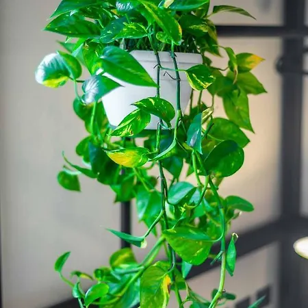 Realkasa Marconi Lägenhet