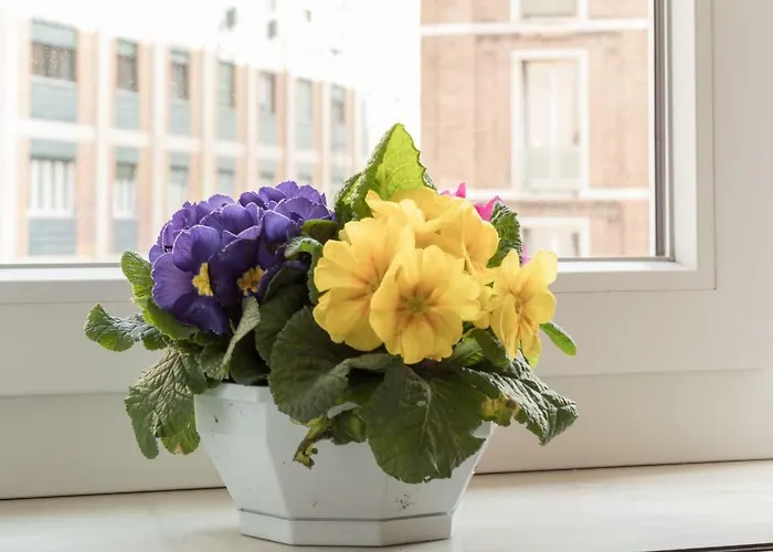 Realkasa Marconi 아파트 볼로냐